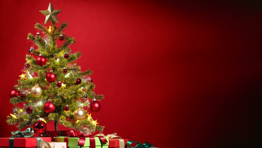 christmas tree on red background