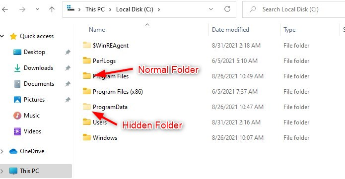 show hidden folders windows 11