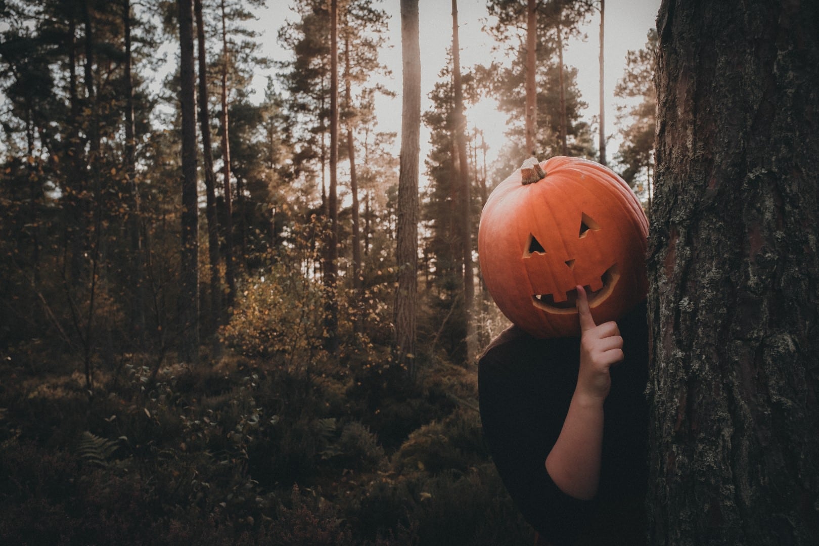 Halloween Hallowe'En Pumpkin - Free GIF on Pixabay - Pixabay
